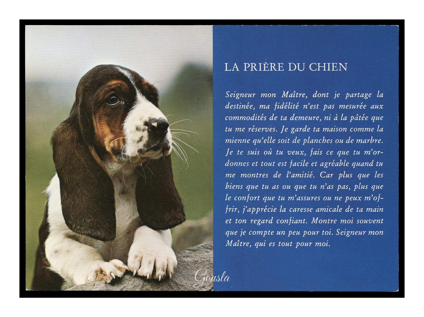 Cartoline postali: BASSET "La Prière du Chien" – Usato da Onex venduto da Lagorel01