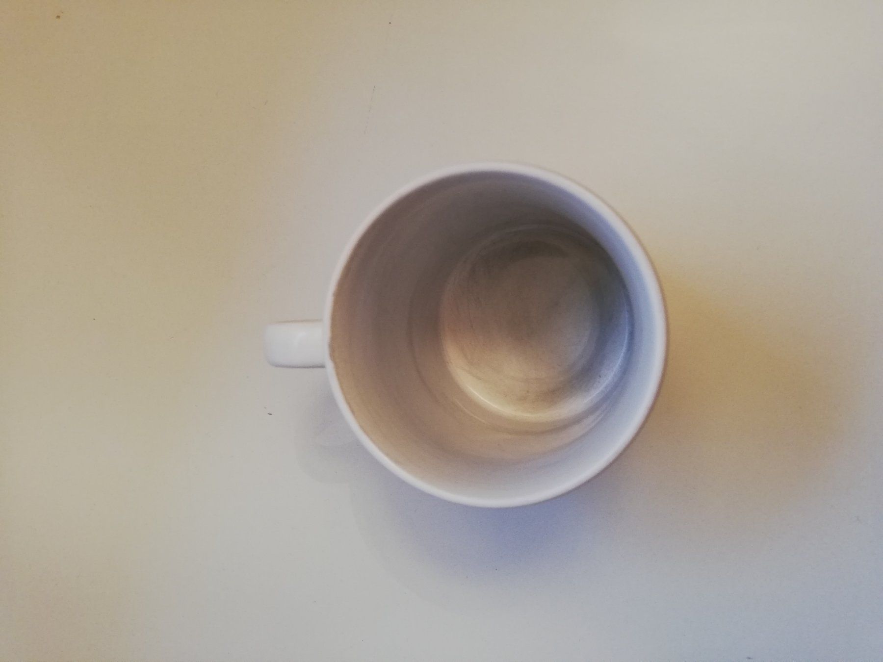 Tazze: Tasse Jungfrau – Usato da Rothrist venduto da GIWALD 1