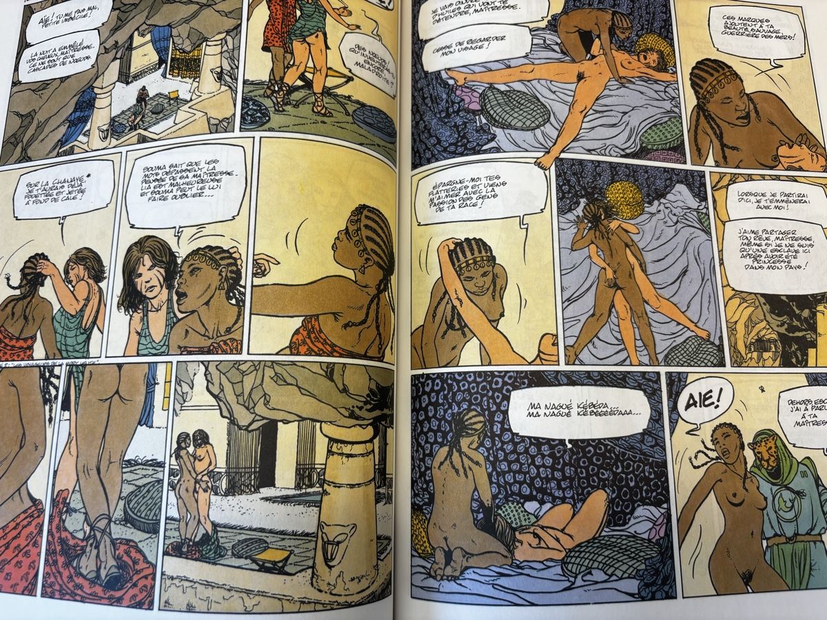 BD: ARYANNE COLLECTION COMPLÈTE - 9 Albums – D'occasion à Bern par jcmda 4