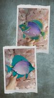 Déco murale poisson/für alle Fisch-liebhaber