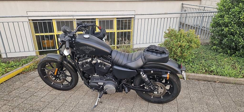 Harley-Davidson Chopper: Harley Davidson Iron 883 – Usato da Emmenbrücke venduto da danxsam 3