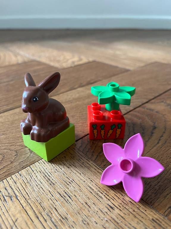 Lego Giocattoli: Duplo Haustiere – Usato da Bern venduto da tan_2rrh 2