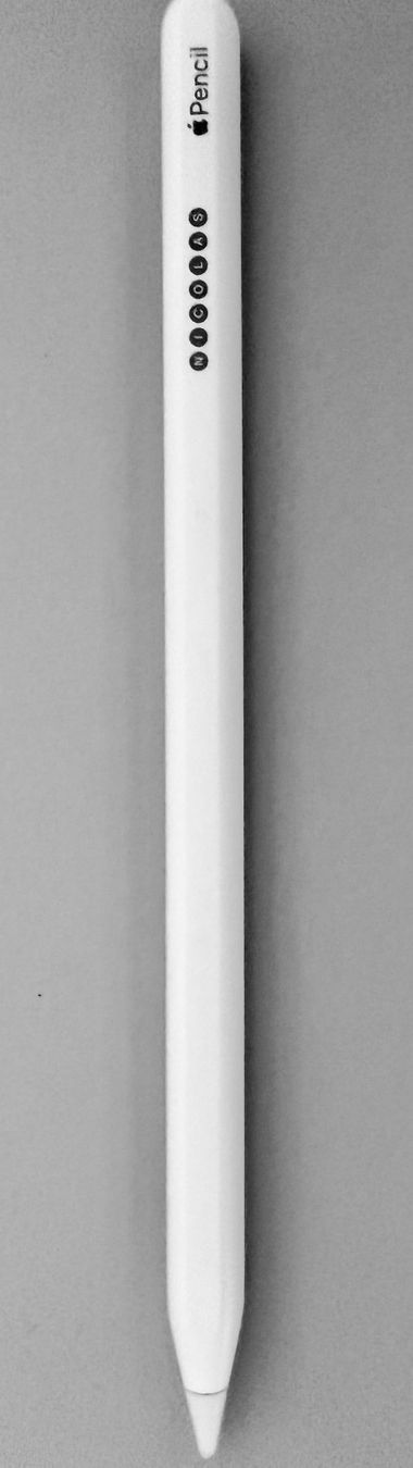 Apple Penna & Evidenziatori: APPLE PENCIL 2 NEU – Nuovo (secondo la descrizione) da Wildegg venduto da Swiss.Olympia 2