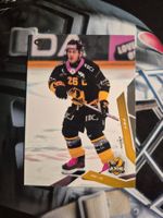 Kevin Fey HC Ajoie 2025/26 Sportzoo