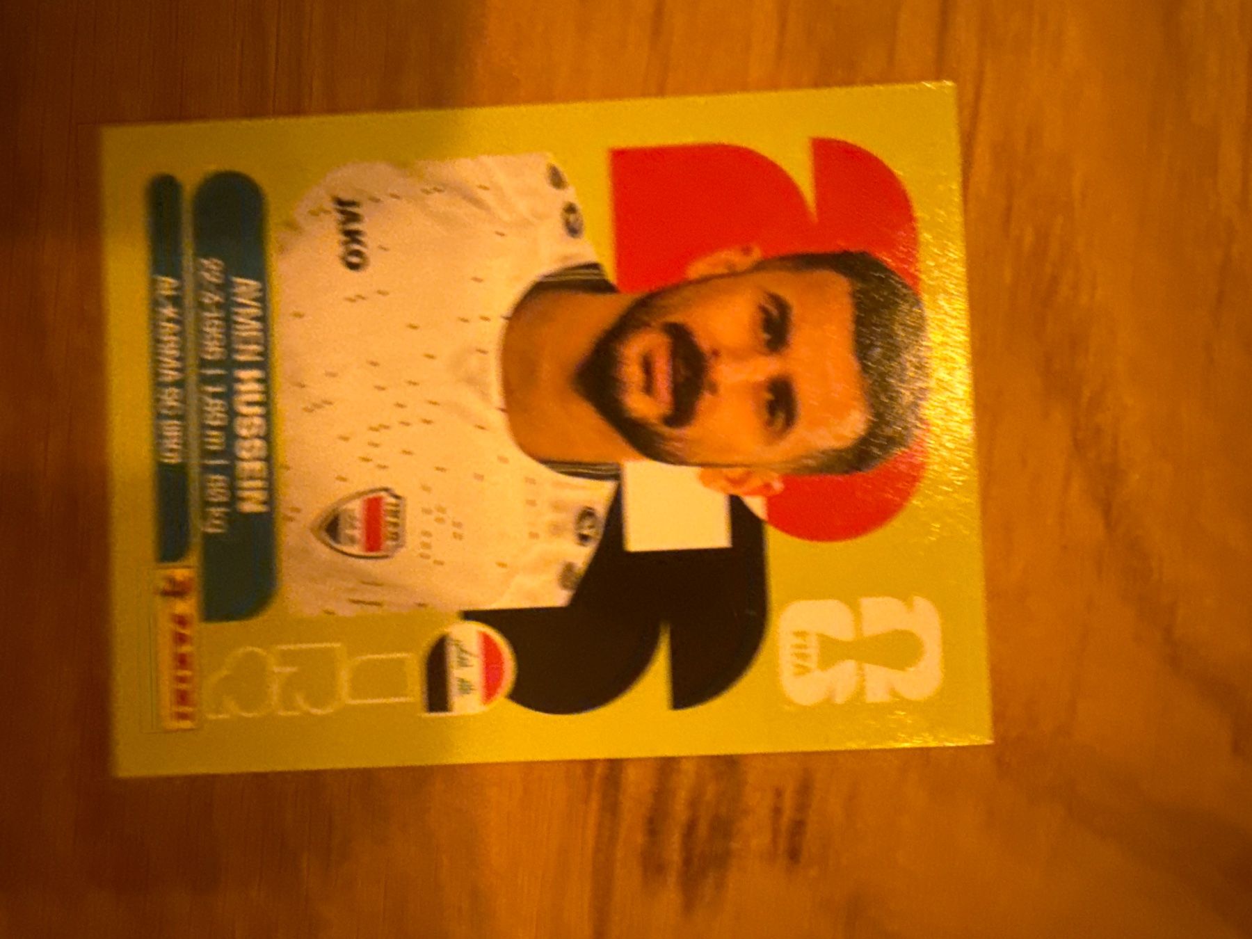 Panini Cartes à collectionner: Panini – D'occasion à Langnau i. E. par Acrjl