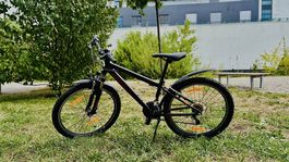 Velo 24": California Dynamite 3.0