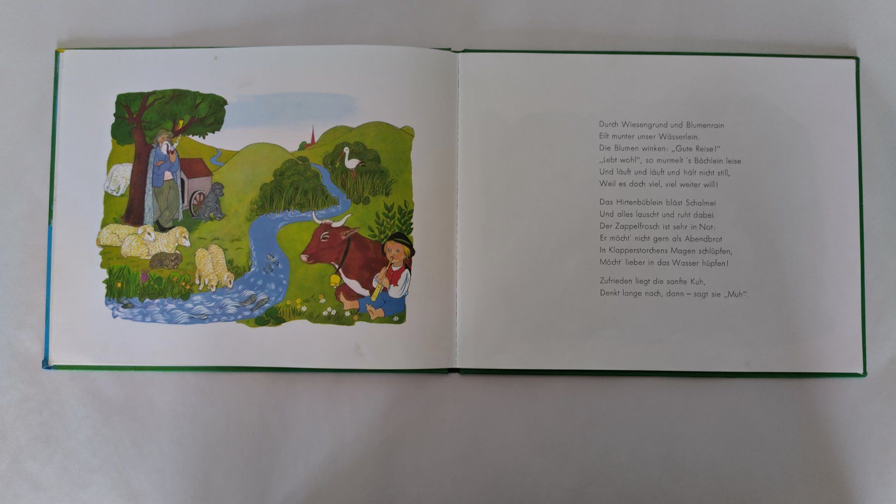 Libri: Die Geschichte vom Fluss - Bilderbuch 1976 ab Fr. 8.- – Usato da Bellach venduto da JingleJerry 4