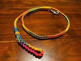 Hundeleine gelb/regenbogen - NEU