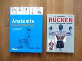 Anatomie des Strechings / Rücken Training Anatomie Streching