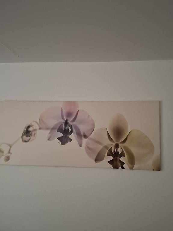 Foto & Immagini: schönes Wandbild mit Orchideen – Usato da Effretikon venduto da CorneliaM03