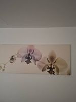schönes Wandbild mit Orchideen
