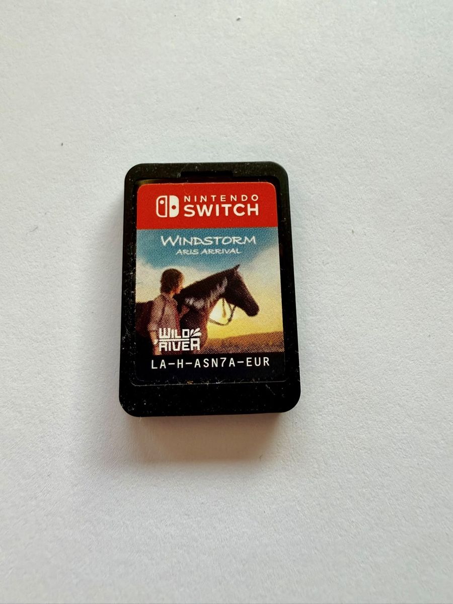 Nintendo Jeux: Windstorm: Aris Arrival / Nintendo Switch – D'occasion à Läufelfingen par Seraphim13
