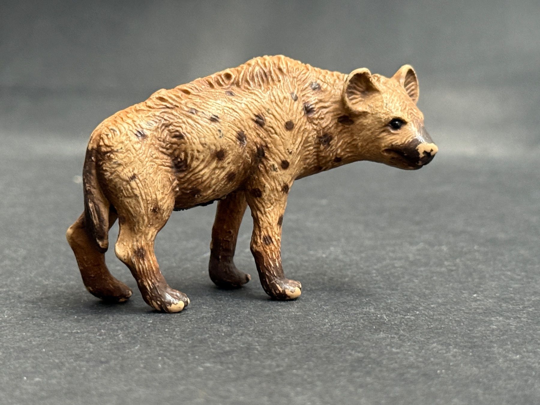Schleich Figuren: Schleich Hyäne 1996 made in Germany Tüpfelhyäne – Gebraucht aus Ennetbaden von mapa05 5