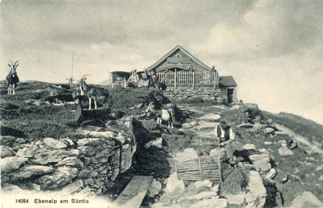 Cartoline postali: Ebenalp   AI   am Säntis      /   Ziegen – Usato da Brig venduto da Valcards54