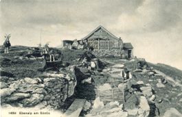 Ebenalp   AI   am Säntis      /   Ziegen