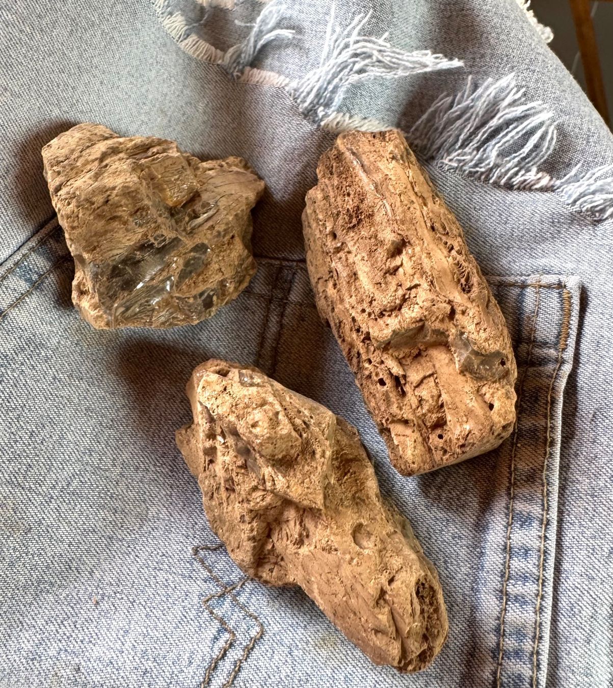 Fossilien: Bernstein  Amber   grosse Brocken    AMBER  aus Sumatra – Neu und originalverpackt aus Leuggern von gemshow 2