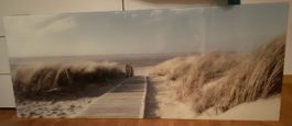 Glasbild Sanddüne mit Holzsteg