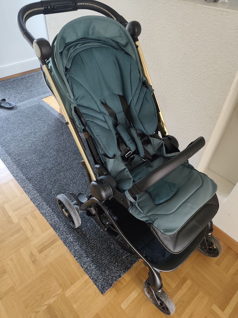Chicco Carrozzine: Chicco One4Ever Kinderwagen – Usato da Mühleberg venduto da Riverinyoureyes 1