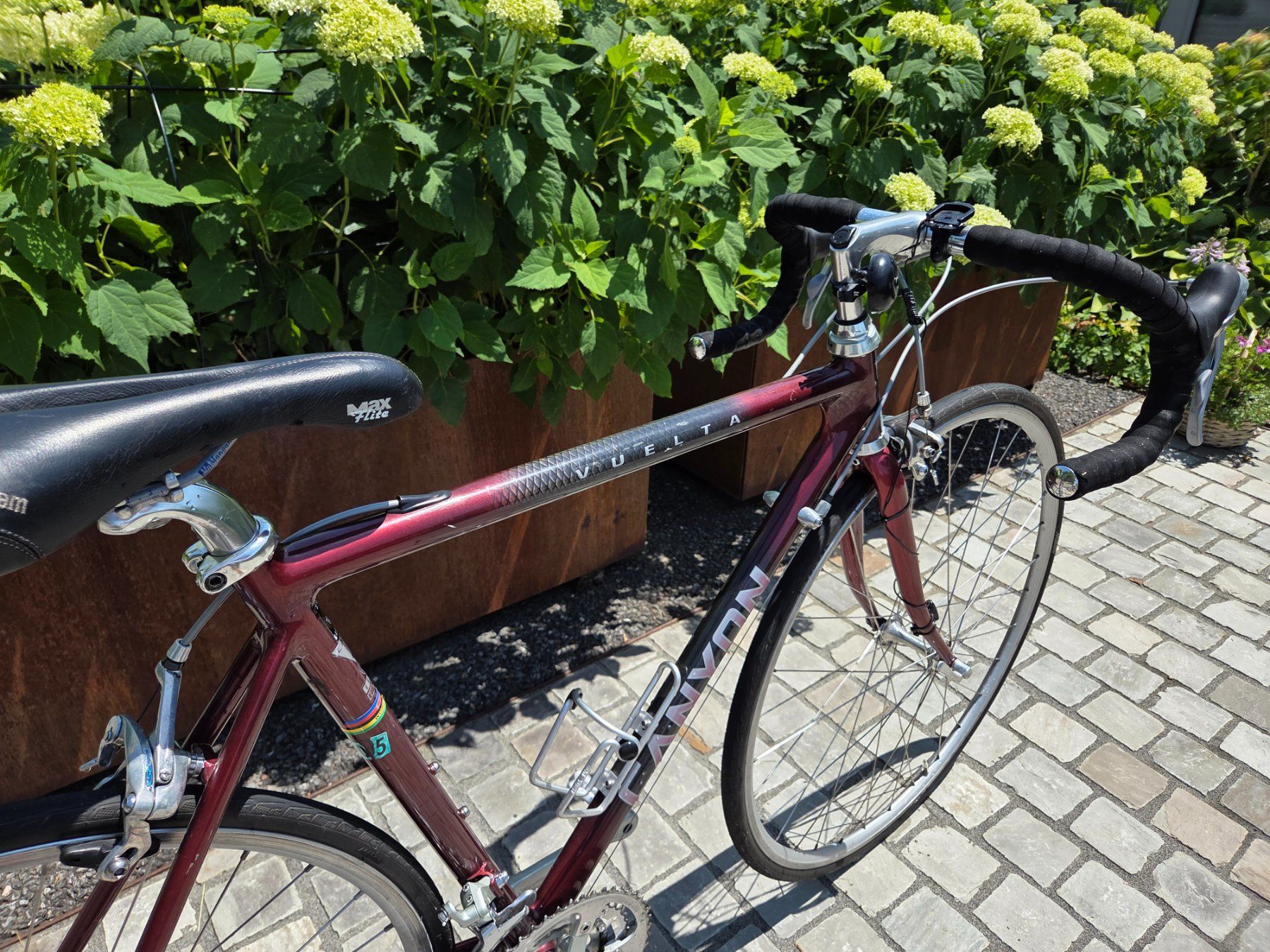Canyon Vélos: Canyon Vuelta / 53cm – D'occasion à Udligenswil par Sophokles0 3