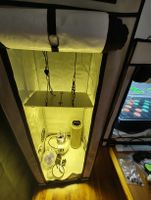 Homebox Ambient 60x60x160, Komplettset für Mutter/Stecklinge