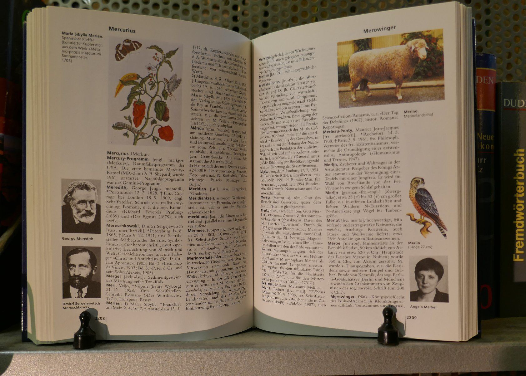 Libri: Duden . Das Neue Lexikon – Nuovo (secondo la descrizione) da Zollikofen venduto da Willmac 3