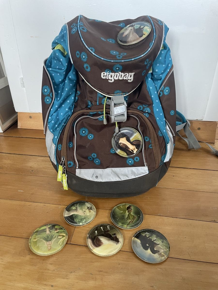 Ergobag Borse & Zaini: Ergobag Schulrucksack – Usato da Hildisrieden venduto da ChiaraZ