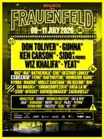 Frauenfeld Openair 3-Tagesticket