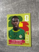 Panini FIFA Sticker Moussa Niakhate SEN4