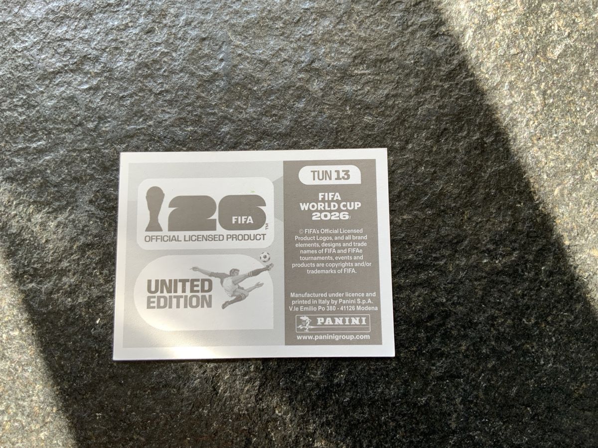 Panini Carte collezionabili: Panini Bild Tun 13 – Usato da Widnau venduto da Como2006 1