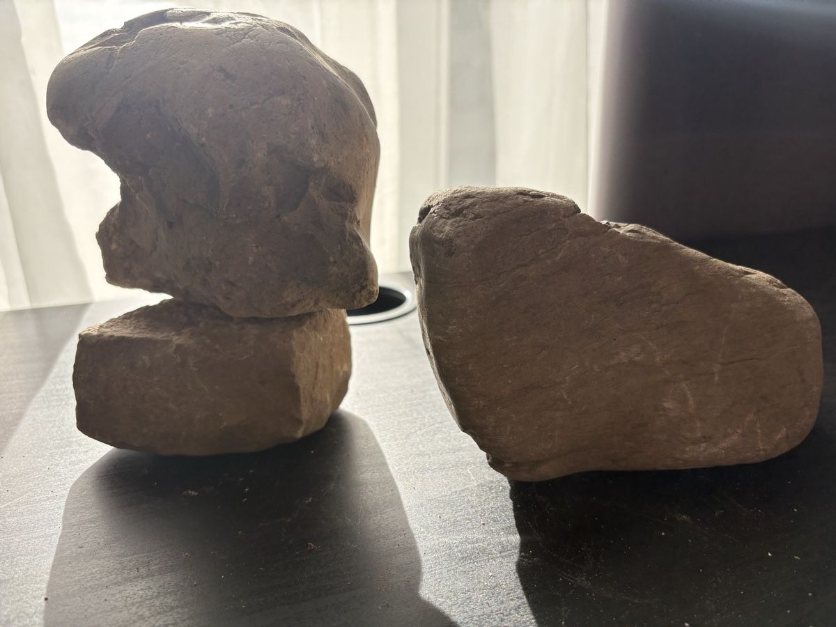 Tutte le decorazioni: 3 er mit Stein für Terrarium oder Aquarium – Nuovo (secondo la descrizione) da Koblenz venduto da l-rocca 1