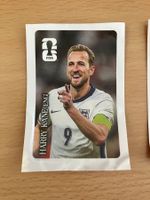 Coca Cola Panini Sticker World Cup