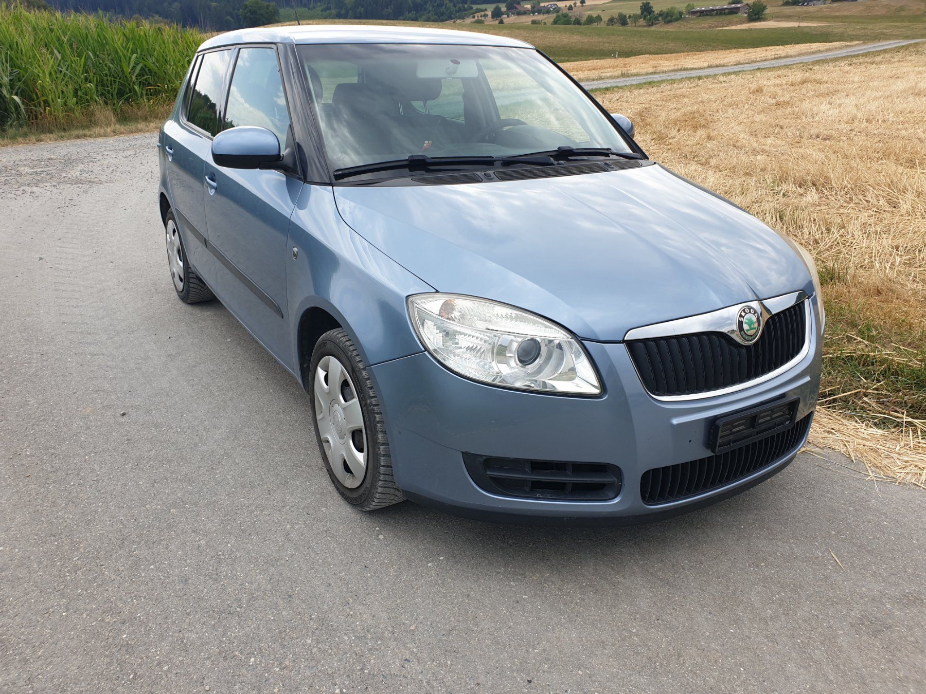 Skoda Automobili: Skoda Fabia 1.4 – Usato da Rickenbach LU venduto da trucker.s