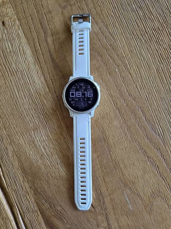 Smartwatch: Garmin Fenix 6S – Usato da Chêne-Bourg venduto da tyraelx 2