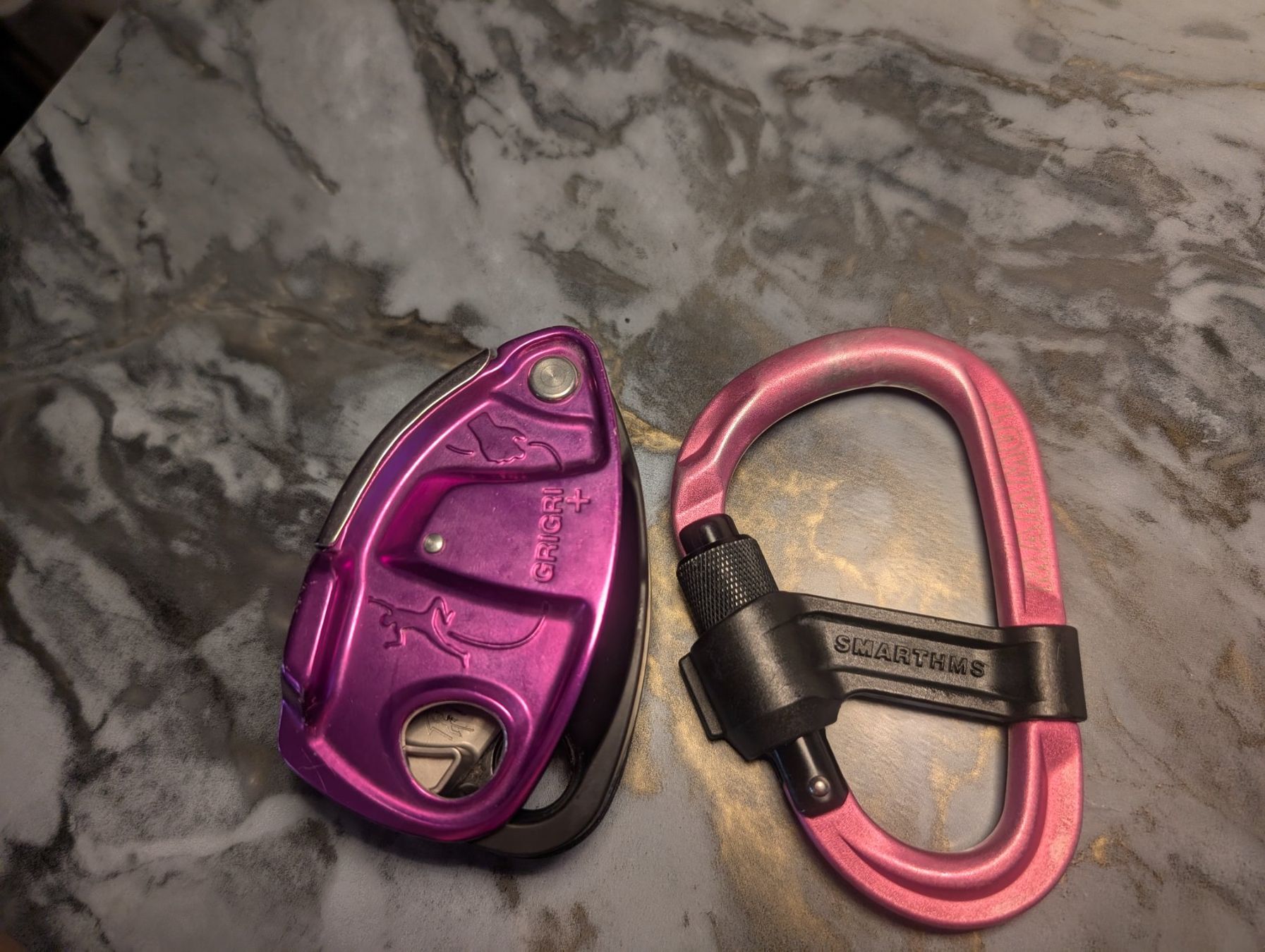 Attrezzatura da arrampicata: GriGri Plus Sicherungsgerät Kletterzubehör – Usato da Urdorf venduto da she_8mt6 3