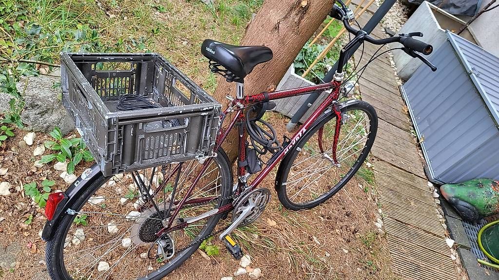 Biciclette: Mondia City Cross – Usato da Volketswil venduto da Saxoforte 2