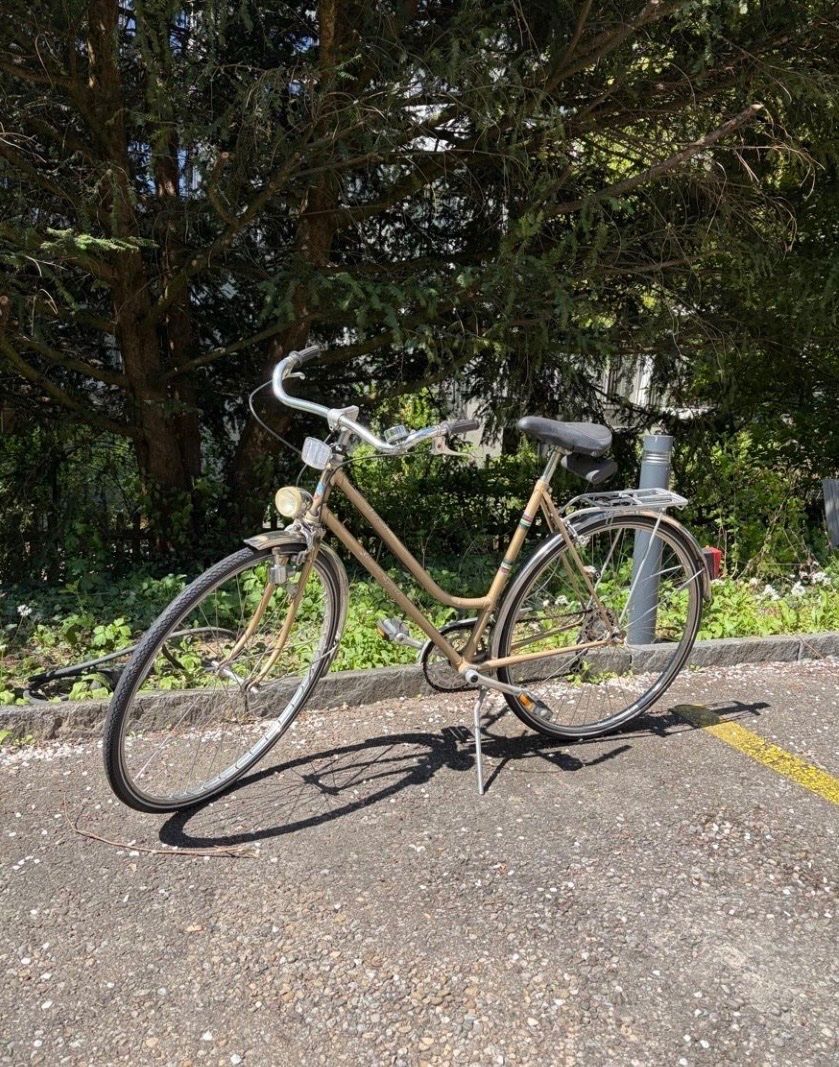Alpina Biciclette: Vintage Alpina Damenrad – Difettoso da Zürich venduto da sim_z5x5