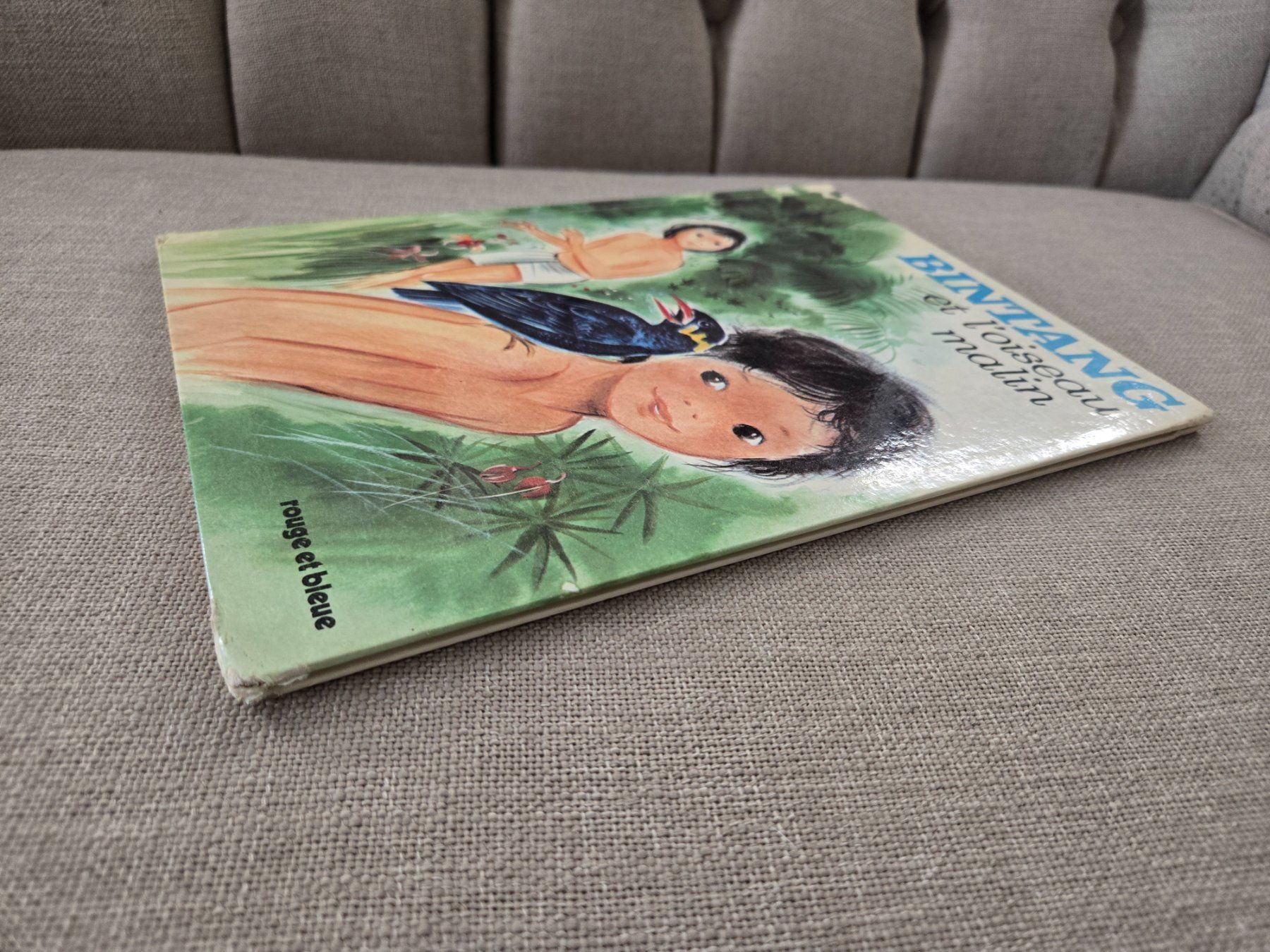 Libri: Bintang et l'oiseau malin – Usato da Crémines venduto da Blakedrake 3