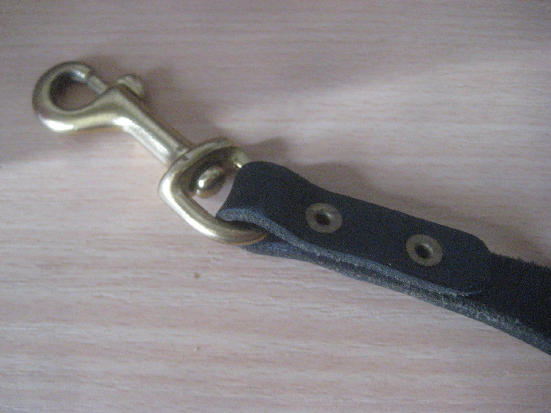 Collier et laisse: HUNDE LEINE – D'occasion à Uster par flocke1 1