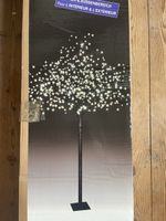 Kirschbaum 600LED
