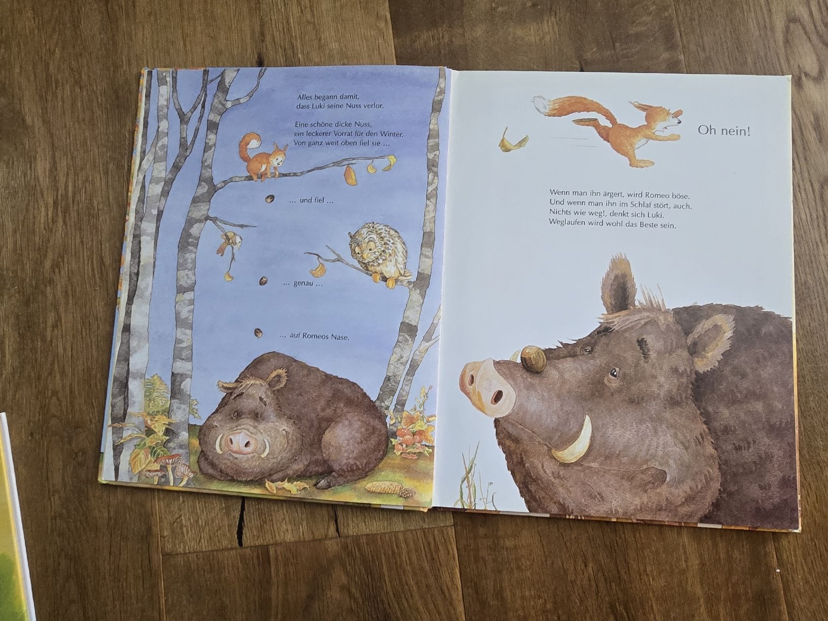 Libri: Kinderbuch "Probier's mal mit Entschuldigung!" neuwertig – Usato da Wittenbach venduto da Tigerlili 1