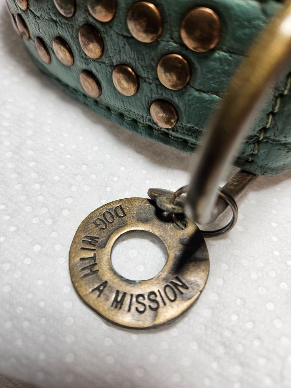 Guinzagli & Collari: Hundehalsband Leder – Usato da Beringen venduto da Sternschnappi 6