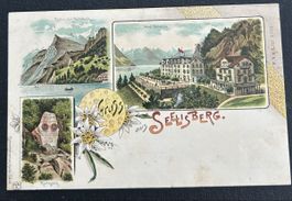 Gruss aus Seelisberg Litho 