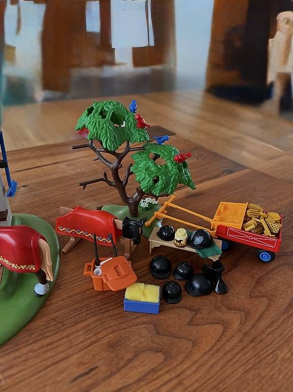 Giocattoli: Playmobil Pferde Set – Usato da Hondrich venduto da leylannika 1