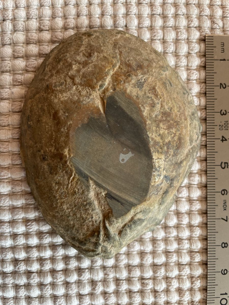 Minerali & Pietre curative: Septarie – Usato da Rümlang venduto da resale35 1