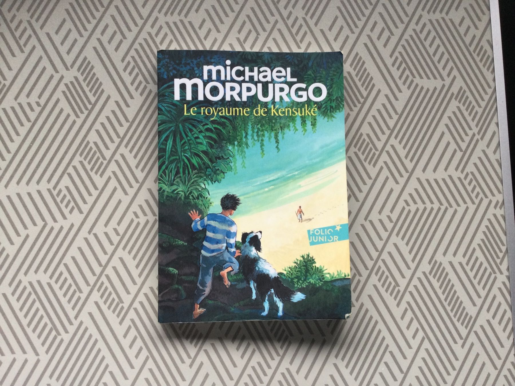 Libri: Michael Morpurgo Le Royaume de Kensuké – Usato da Vouvry venduto da all_xq8g