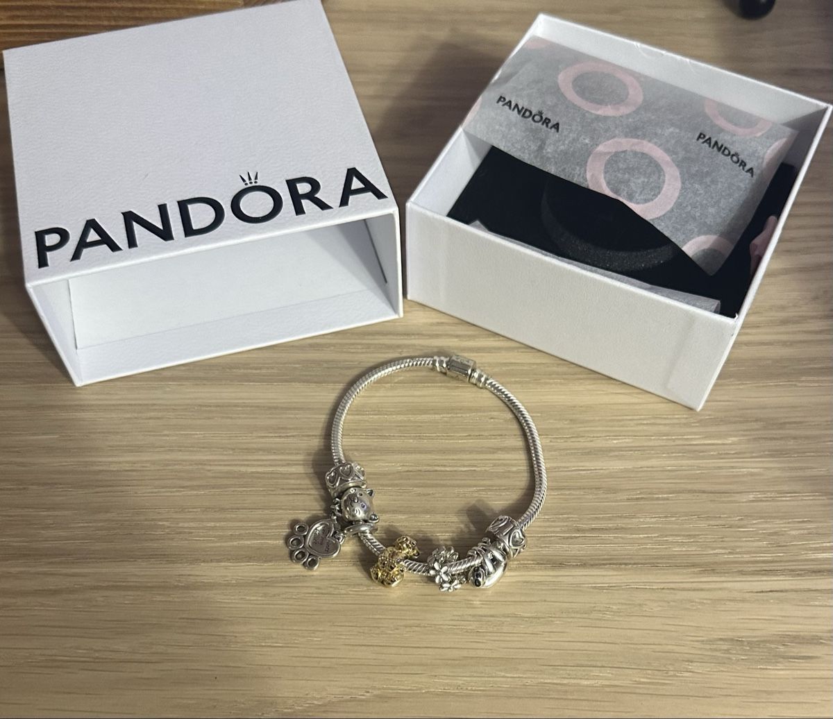 Pandora Armbänder & -reifen: Pandora Armband – Neu (gemäss Beschreibung) aus Däniken SO von lau_75z8