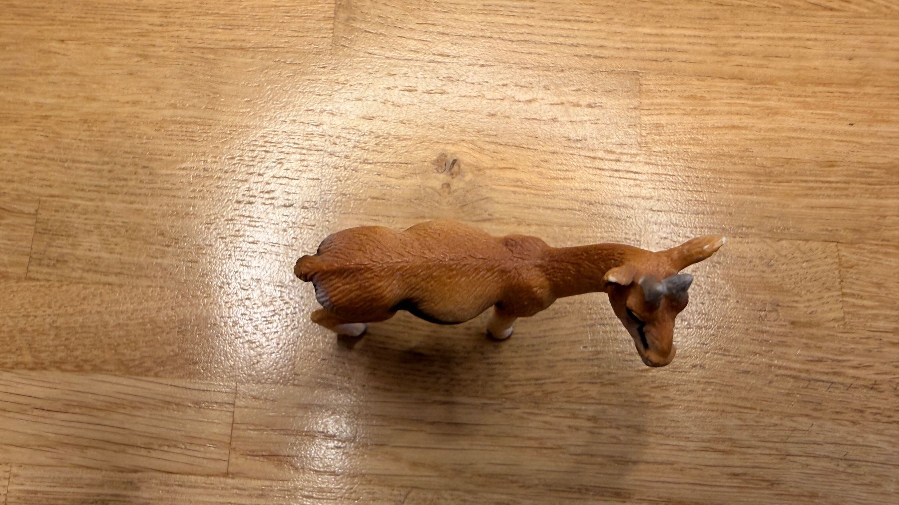 Schleich Spielzeuge: SCHLEICH - Gazelle 14396 – Gebraucht aus Winterthur von Secondhand-Family 4