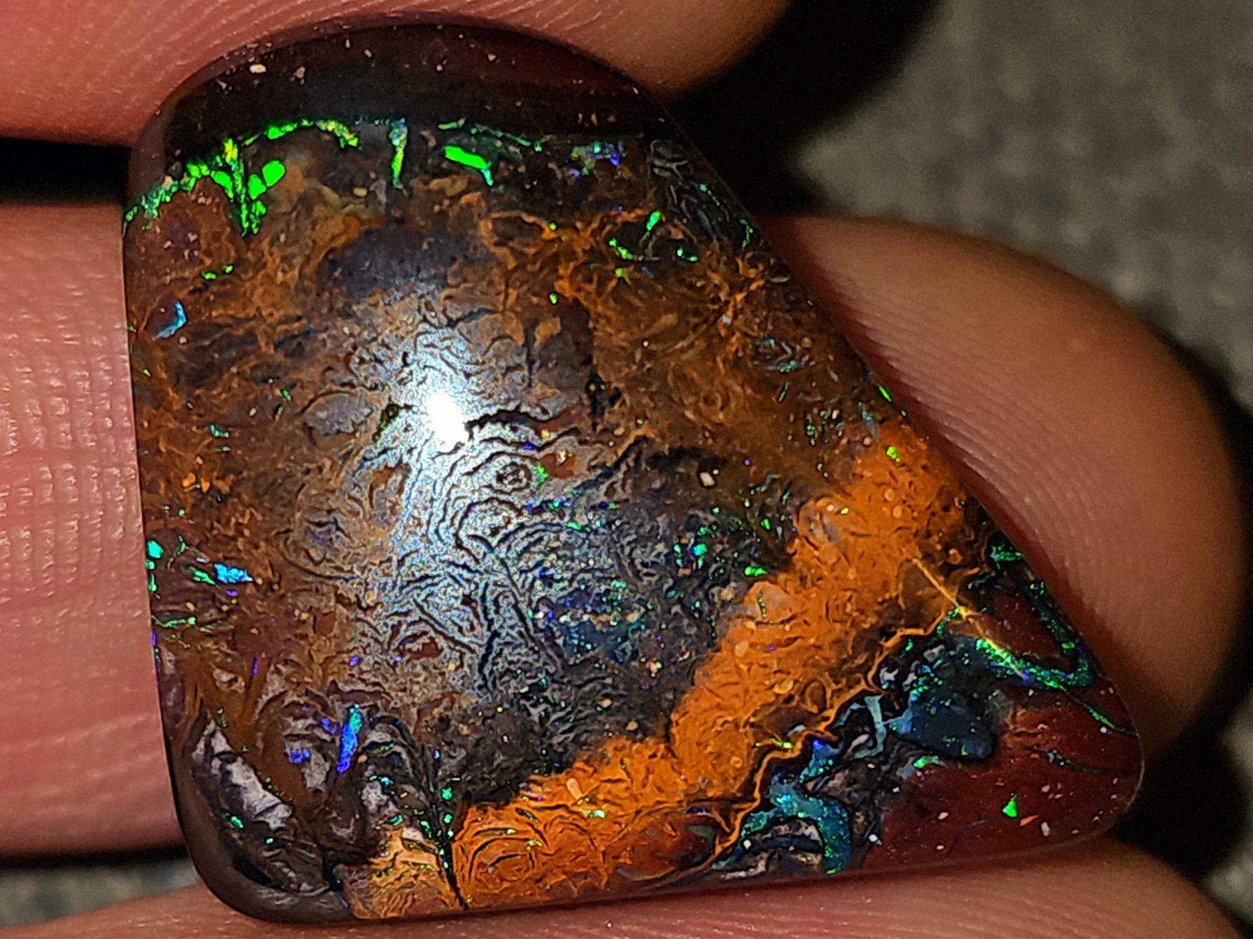 Edelsteine: 37.34ct Boulder Opal aus Koroit, Australien – Neu und originalverpackt aus Uerkheim von Winwinner 5