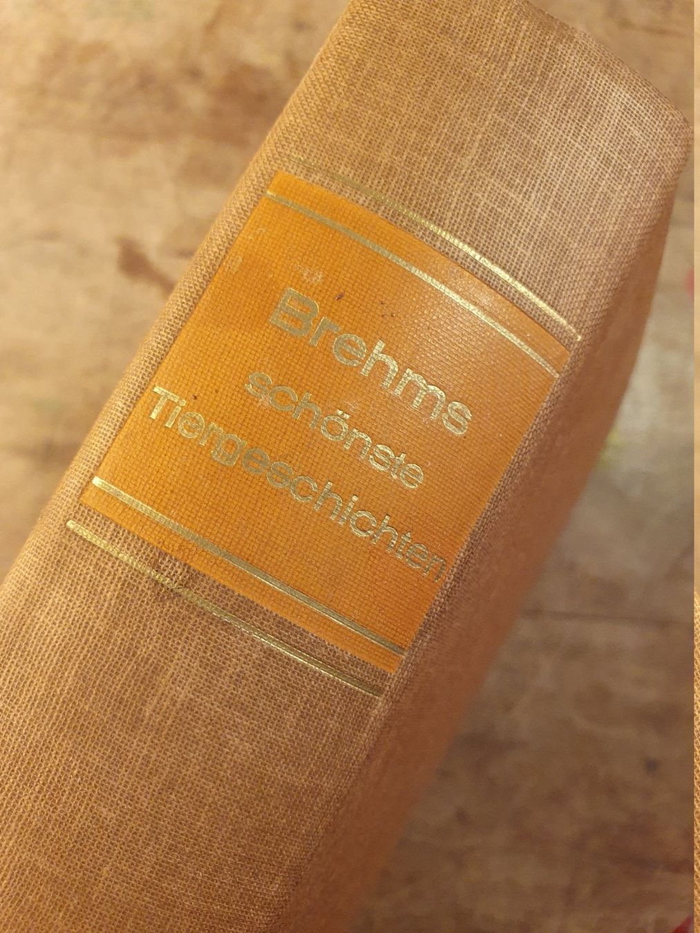 Libri: Brehms schönste Tiergeschichten – Usato da Zürich venduto da loosebone