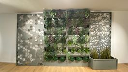 Sichtschutz & Greenwall Outdoor Set – Showroom-Modell
